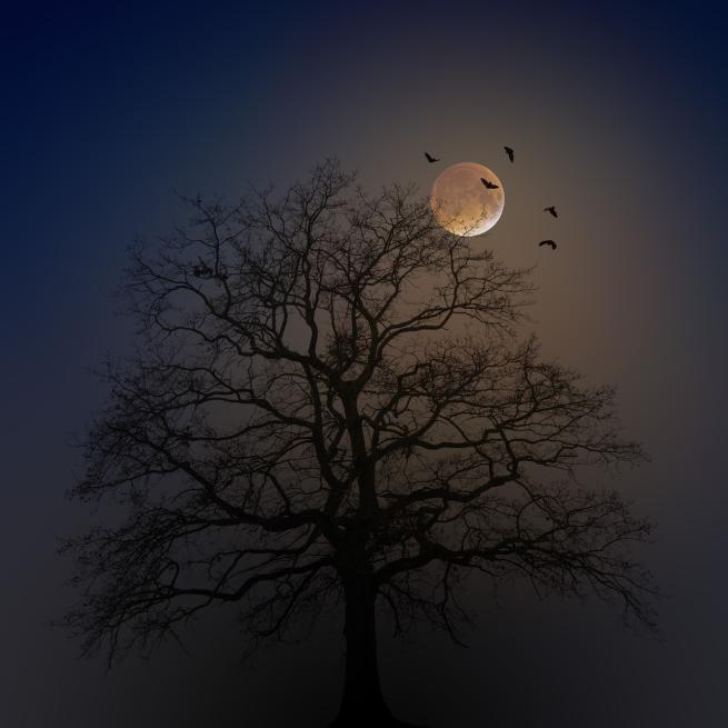 A tree at night with bats flying against the moon