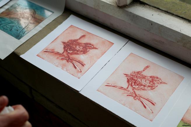 Two dry point pictures of wren placed on a window ledge 