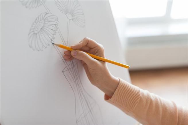 Pencil sketch of a vase of daisies. 