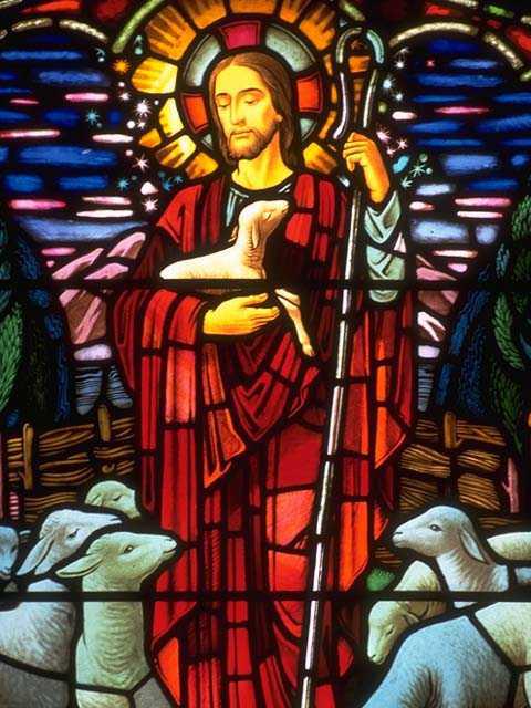 A colourful stained glass window depicting Jesus standing with a shepherd's crook and surrounded by lambs