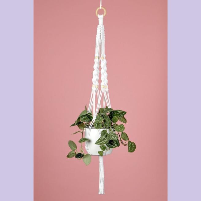 A white macrame plant hanger is suspended against a pink background, It has a white pot containing a green dangly plant.