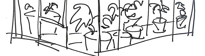 Drawing of a greenhouse with plants