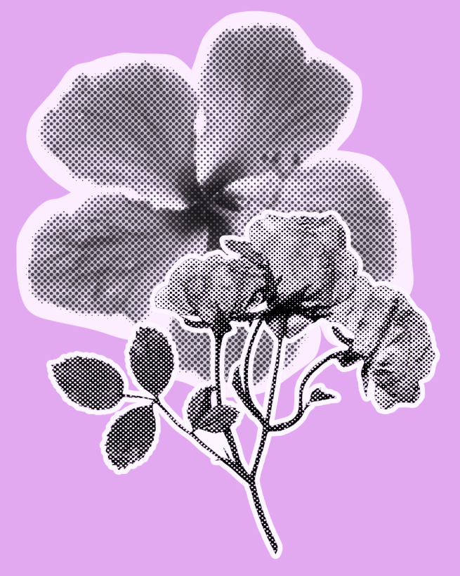 Half Tone Flowers on Purple Background
