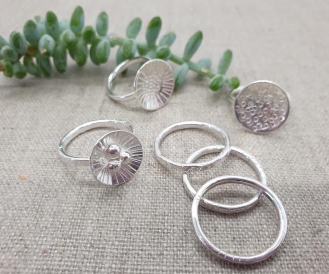 6 silver rings photographed on a grey fabric cloth with a green succulent plant behind them