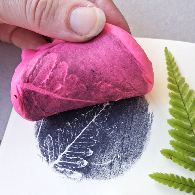 a pink ball of playdoh is being used to print an impression of a fern leaf - the image shows the moment where the inked clay is being lifted to reveal a print of the leaf