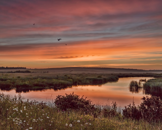 Image shows RSPB St Aidan's at sunset with the orange sky reflected in the water around the reedbeds and some birds flying above it