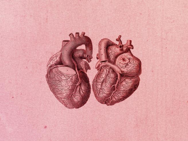 Anatomical illustration of a heart, with pink background