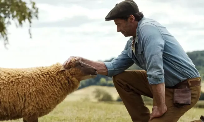 A still from "The Sheep Detectives"
