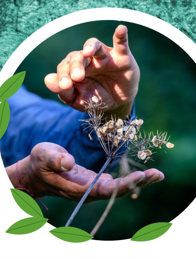 circular photograph by Malcolm Johnson shows a person's hands gently interacting with dried wildflowers, emphasising the connection between people and nature.  