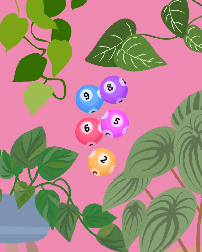Illustration of plants and bingo balls