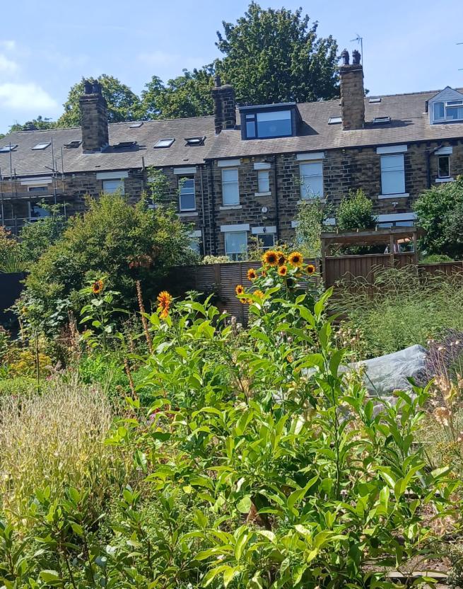 St Mary's Rooftop Garden