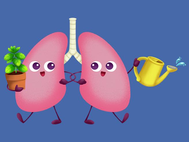 Cartoon of a pair of lungs with arms and legs, one holding a potted plant, the other holiday a watering can