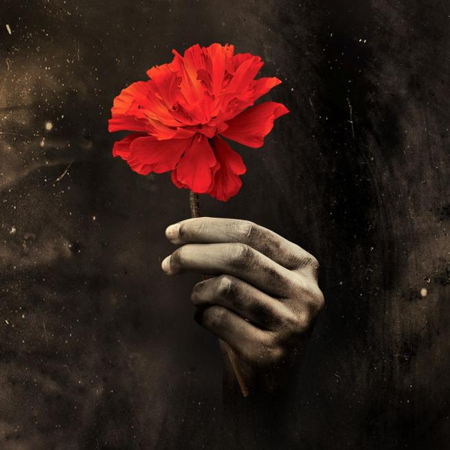 In a sepia image, a hand emerges from darkness holding a bright red flower. 