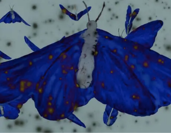 Still from a short at Women's Animation From Near and Far 