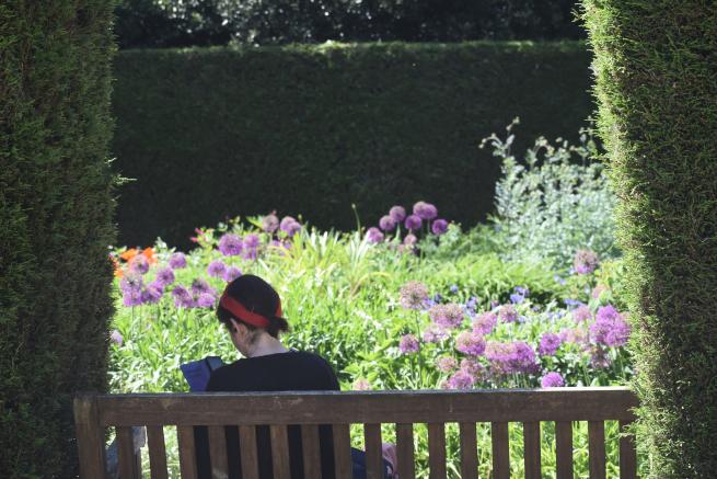 Mindful Photo Walk Workshop ~ Roundhay Floral Stroll