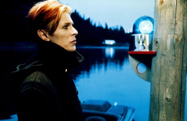 The Man Who Fell To Earth