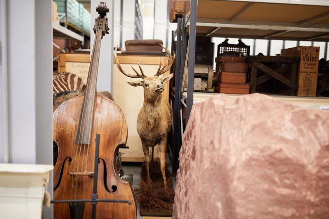 Photograph of museum storage, including a large string instrument and a taxidermy deer