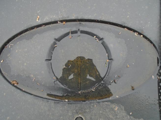 Photograph of someone's relfection in a wet bin lid 