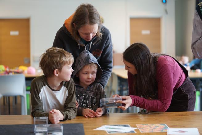 Two children look at a framed & taxidermied butterfly, while supervised by two adults