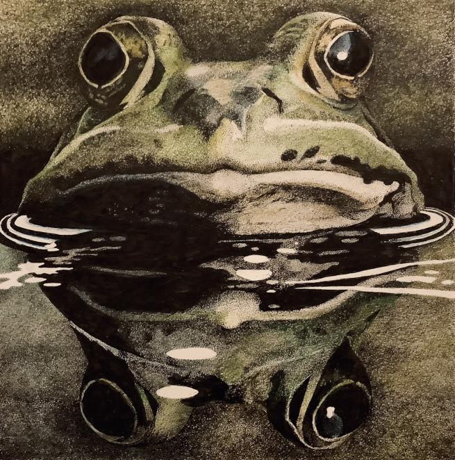 A drawing of a frog with it's face emerging from water.