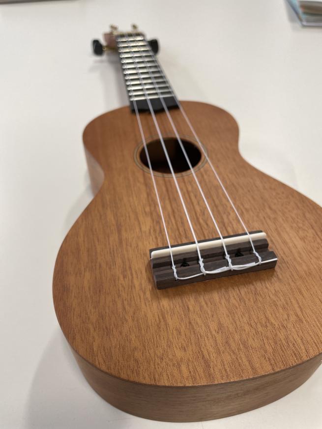 A ukulele