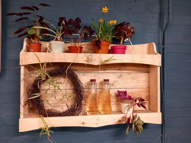 Pallet wood shelving unit with plants and bottles on
