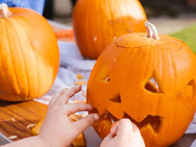 Pumpkin carving at Temple Newsam estate
