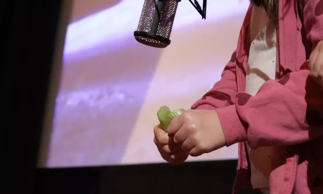 A close up picture of someone snapping some celery near a microphone