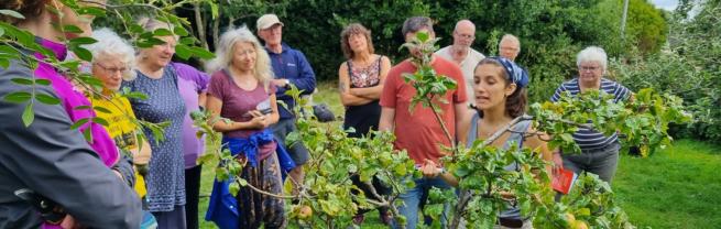 Gardening group looking at trees and teacher