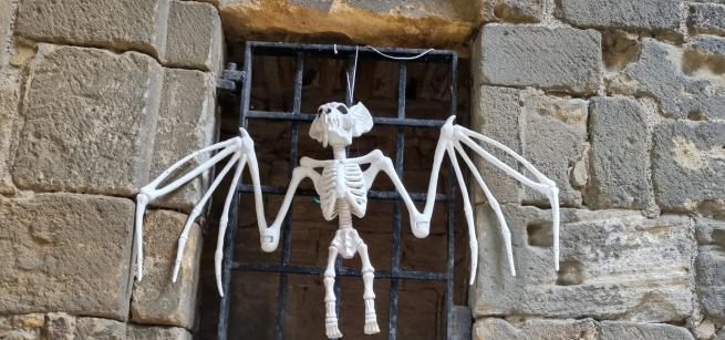 Colour photograph of a plastic bat skeleton hung against the stonework of Kirkstall Abbey ruins