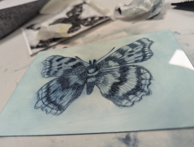 A drypoint plate with an image of a butterfly