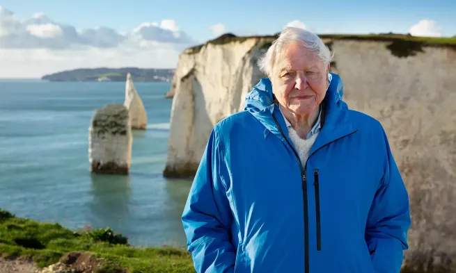 A still from the film "Ocean with David Attenborough"