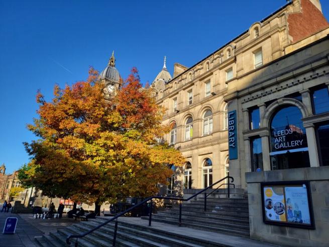 The library with a tree and Leeds Art Gallery