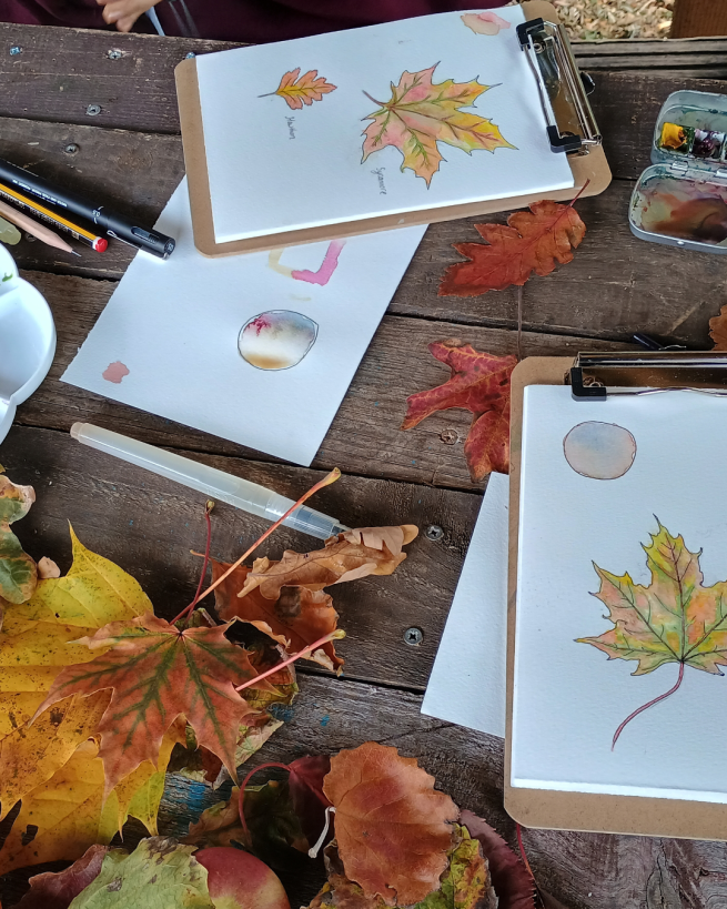Autumn sketching at Garforth Nature Journal Club