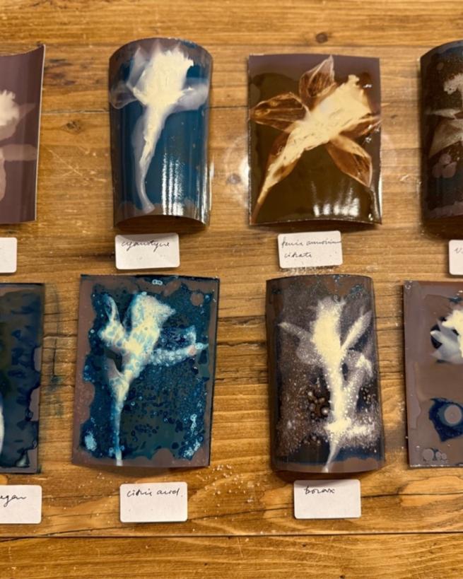 Wet experimental prints of daffodil heads on glossy paper in shades of blue and brown, with labels of each developer's name positioned underneath.