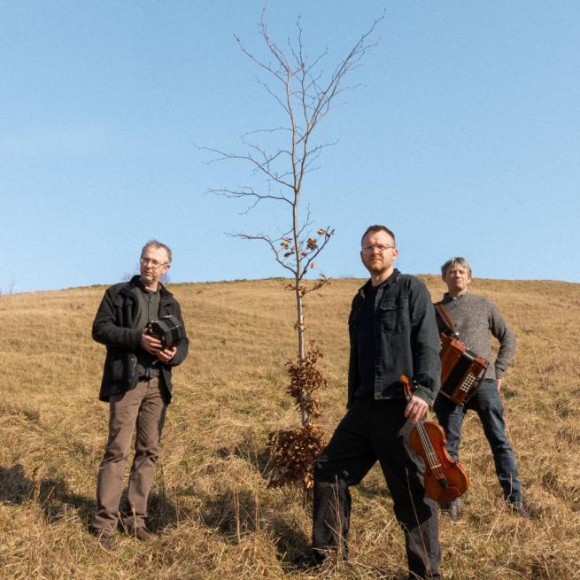 The three members of Leveret stand on a dry grassy hill and surround a bare tree. Each man holds an instrument and candidly looks off-camera.