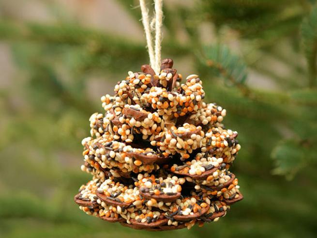 DIY Pine cone bird feeder with seeds on it