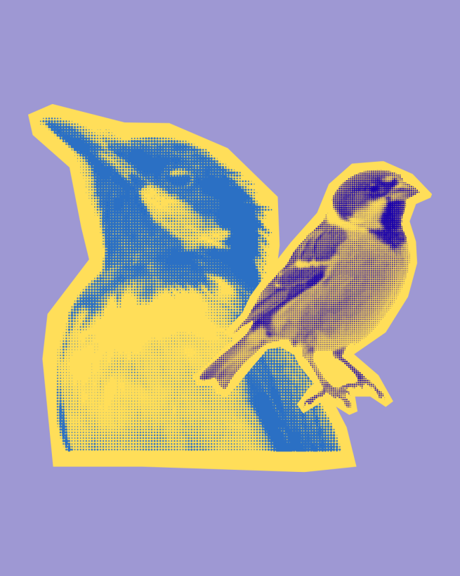 Illustration of little birds