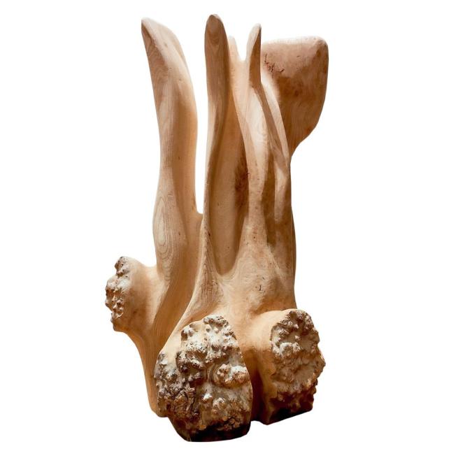 A sculpture made from elm wood, resembling uprooted tree