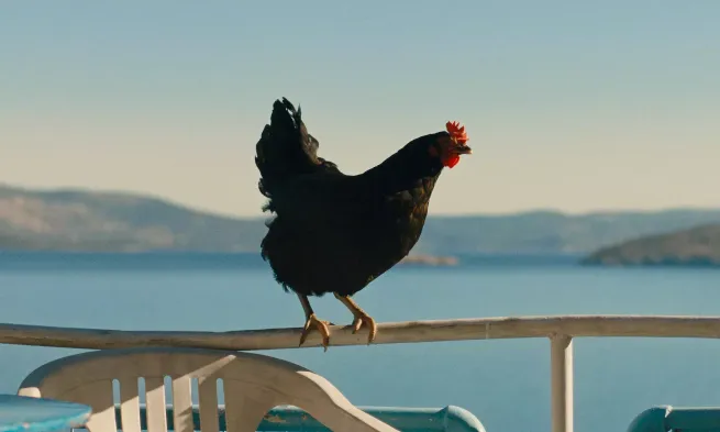 A still from the film "Hen"