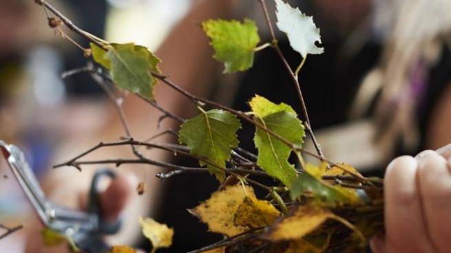 Photograph of a hand holding branches with autumn leaves