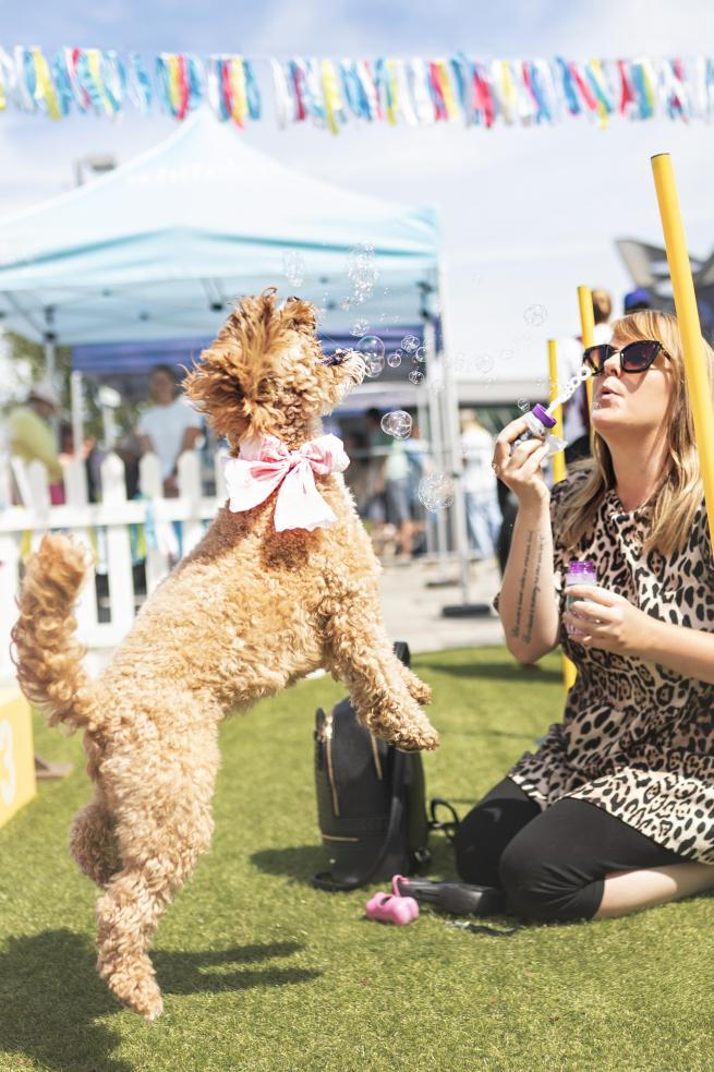 a woman kneeling down blowing bubbles for a medium sized golden dog