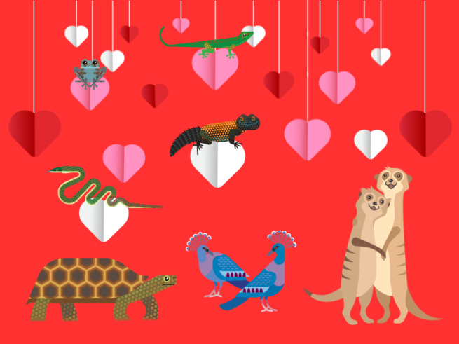 Perfect Partners at Tropical World