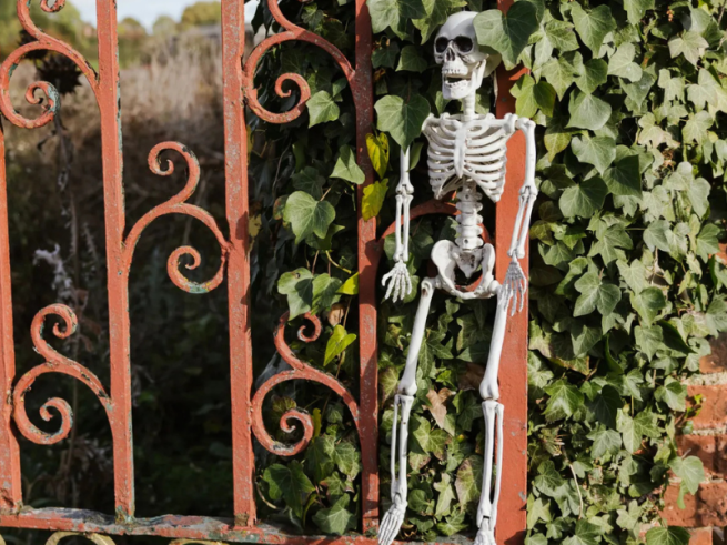 Skeleton hanging on a railing in front of a bush
