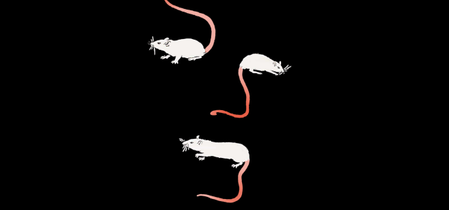 Ratcatcher