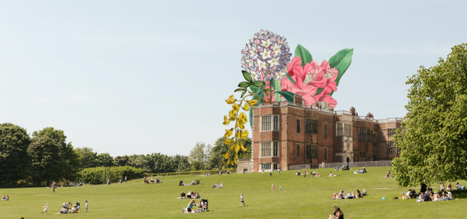 Temple Newsam house in summer with illustration of flowers growing from the roof