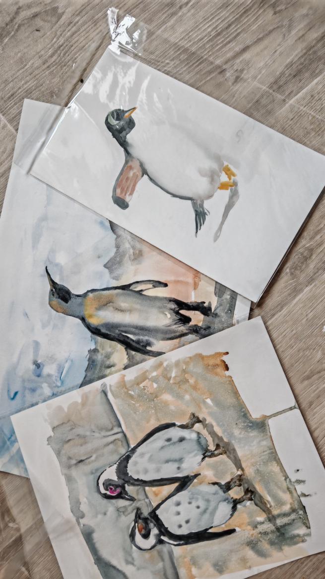 A selection of gift cards with illustrated penguins.