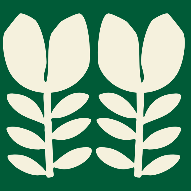 Two cream flowers on a green background