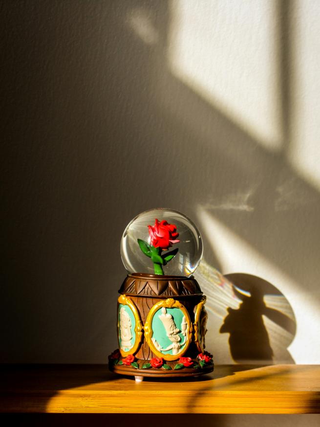Photo by Sarah Dao on Unsplash