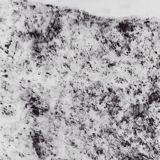 Lucy Crouch, to agitate, 2025.